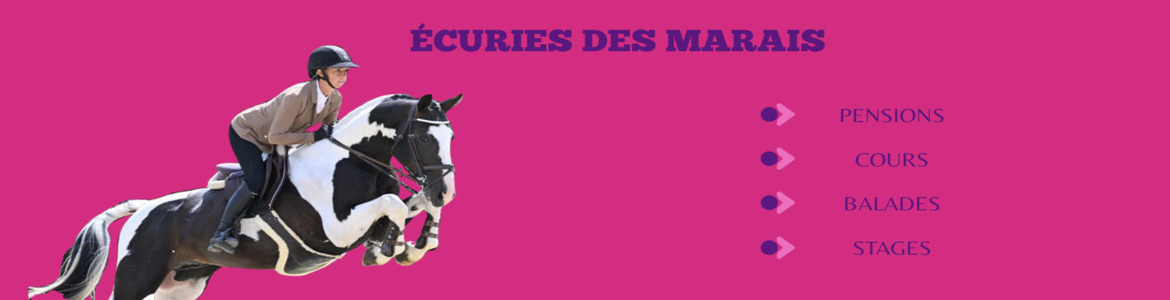  Les Écuries des Marais !